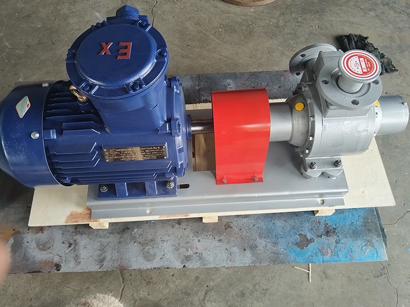 雙端密封容積泵 雙端密封容積泵